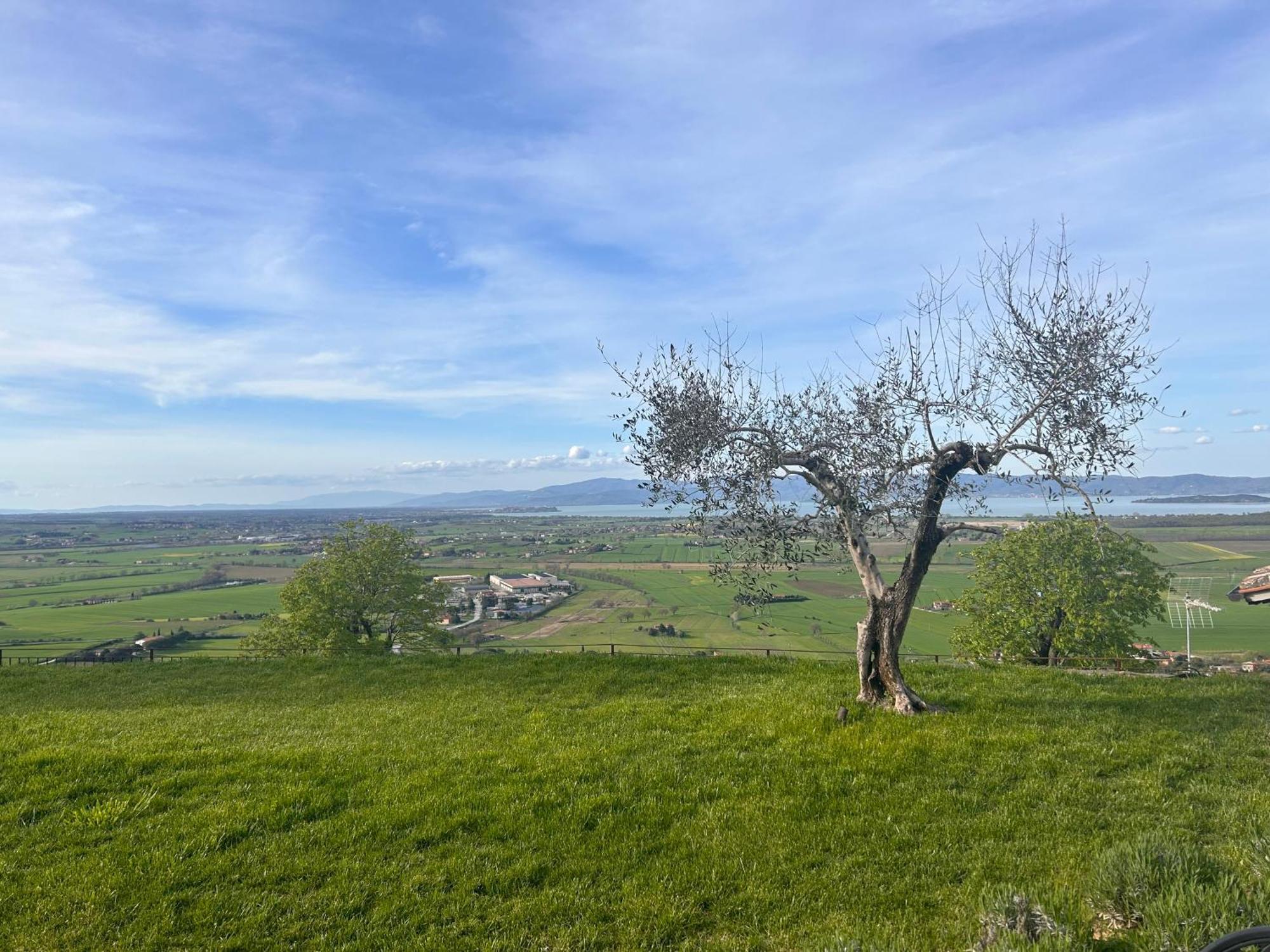 Boutique Masolino Bed & Breakfast Panicale